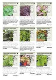 Granngården kampanjblad Sida 56