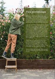 Granngården kampanjblad Sida 6