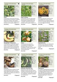 Granngården kampanjblad Sida 77