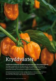 Granngården kampanjblad Sida 79