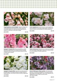 Granngården kampanjblad Sida 9