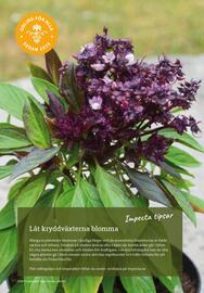 Granngården kampanjblad Sida 96