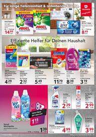 Selgros Prospekt woche 38 Seite 19