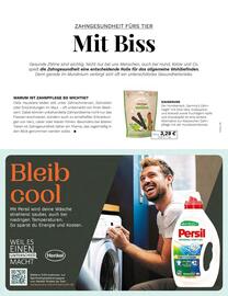 Müller Prospekt Seite 78