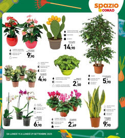 Volantino Spazio Conad Pagina 29