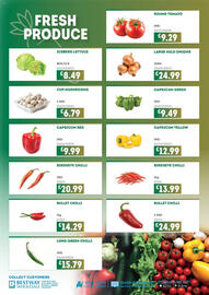 Bestway leaflet Page 13