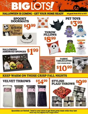 Big Lots weekly ad (valid until 18-09)
