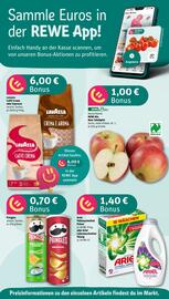 REWE DE tilbudsavis uge 37 Side 2