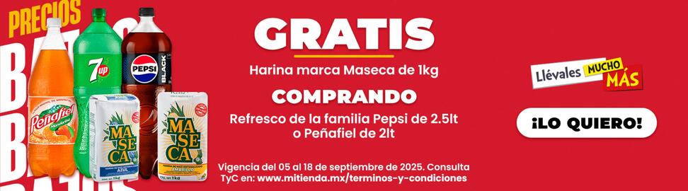 Folleto Mi Tienda del Ahorro Página 3