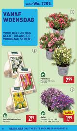 ALDI folder week 38 Pagina 36
