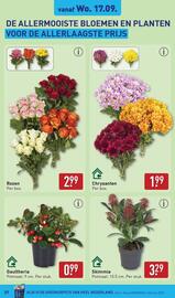 ALDI folder week 38 Pagina 37