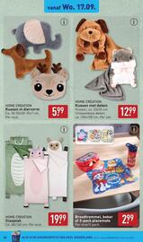 ALDI folder week 38 Pagina 41