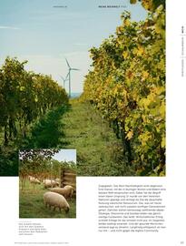 Weinwelt Interspar Flugblatt Seite 25