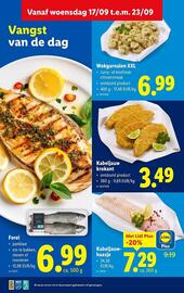 Lidl folder week 38 Pagina 12