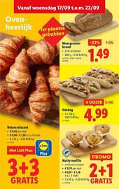 Lidl folder week 38 Pagina 13