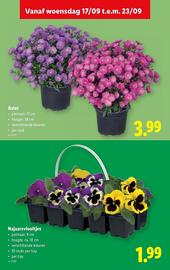 Lidl folder week 38 Pagina 34