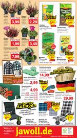 Wiglo Wunderland Prospekt woche 38 Seite 12