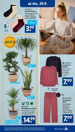 Aldi Süd Prospekt woche 40 Seite 2