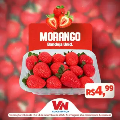 Catálogo VN Autosserviço (válido até 14-09)