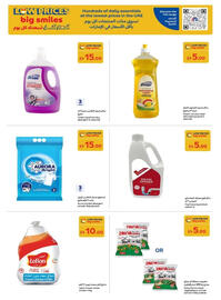 Carrefour catalogue Page 16