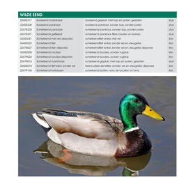 HANOS folder Pagina 19