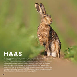 HANOS folder Pagina 20