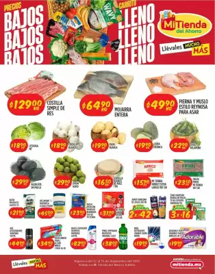 Folleto Mi Tienda del Ahorro (válido hasta 15-09)