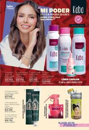 Catálogo Nova Venta Página 17
