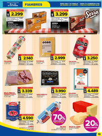 Folleto Carrefour Maxi Página 13