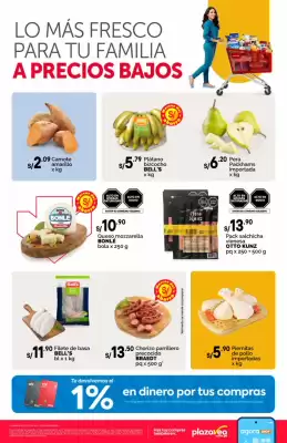 Catálogo Plaza Vea (válido hasta 15-09)