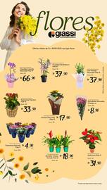 Encarte Giassi Supermercados semana 37 Página 1