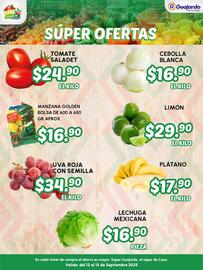 Folleto Guajardo Página 2