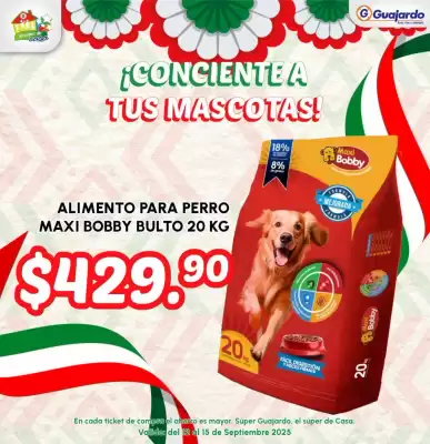 Folleto Guajardo (válido hasta 15-09)