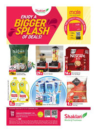 Shaklan leaflet Page 1