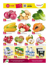 Shaklan leaflet Page 2