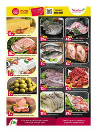 Shaklan leaflet Page 3