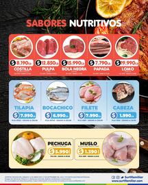Catálogo Surtifamiliar semana 37 Página 5