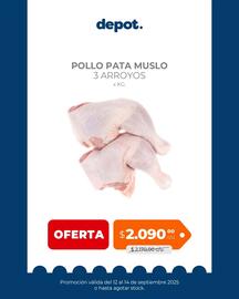 Catálogo Depot Express Página 1