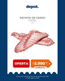 Catálogo Depot Express Página 3