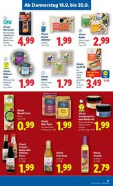 Lidl Flugblatt woche 38 Seite 14