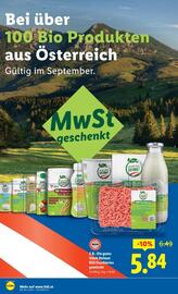 Lidl Flugblatt woche 38 Seite 17