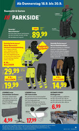 Lidl Flugblatt woche 38 Seite 17