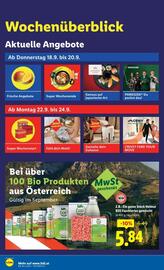 Lidl Flugblatt woche 38 Seite 3
