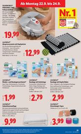 Lidl Flugblatt woche 38 Seite 30