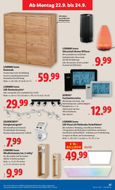 Lidl Flugblatt woche 38 Seite 31