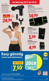 Lidl Flugblatt woche 38 Seite 34