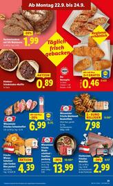 Lidl Flugblatt woche 38 Seite 36