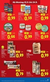 Lidl Flugblatt woche 38 Seite 40