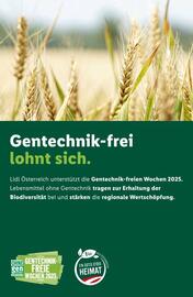 Lidl Flugblatt woche 38 Seite 42