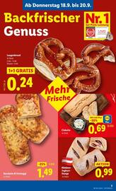 Lidl Flugblatt woche 38 Seite 6